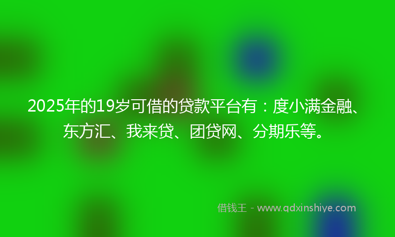 2025年的19岁可借的贷款平台有：度小满金融、东方汇、我来贷、团贷网、分期乐等。