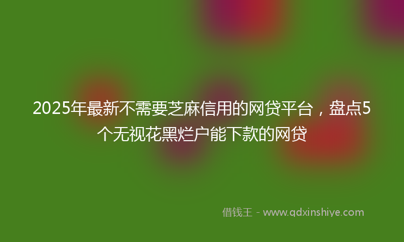 2025年最新不需要芝麻信用的网贷平台，盘点5个无视花黑烂户能下款的网贷