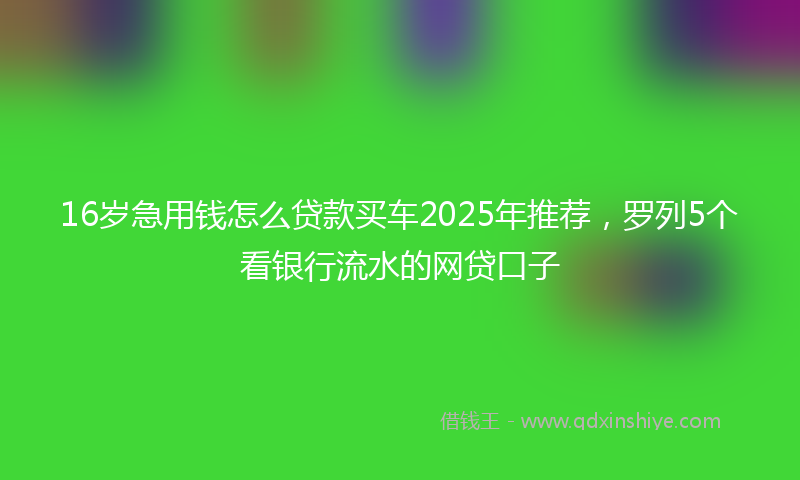16岁急用钱怎么贷款买车2025年推荐，罗列5个看银行流水的网贷口子