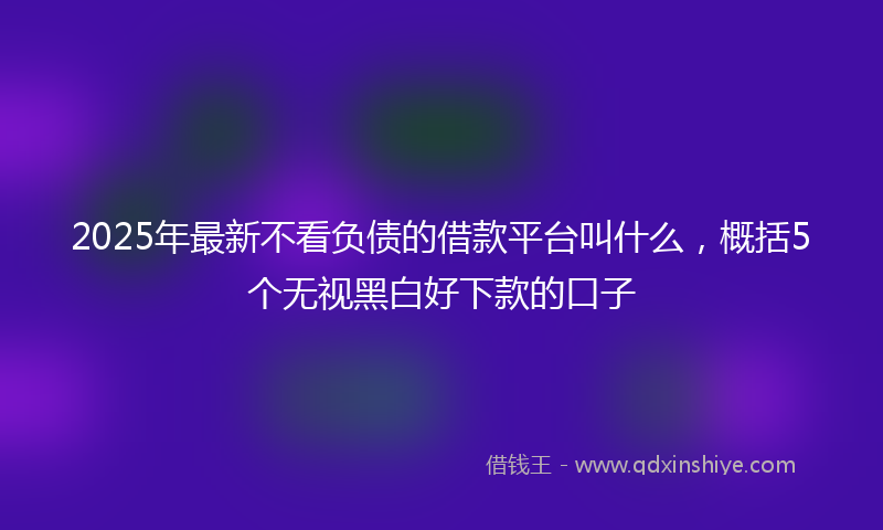 2025年最新不看负债的借款平台叫什么，概括5个无视黑白好下款的口子