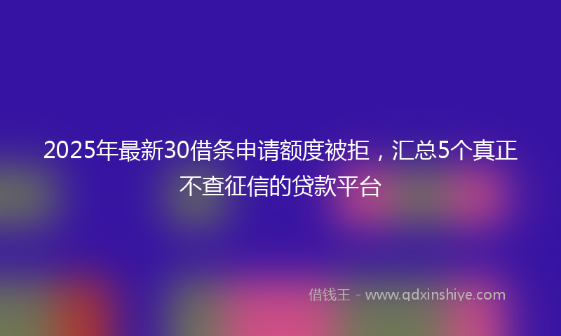 2025年最新30借条申请额度被拒，汇总5个真正不查征信的贷款平台