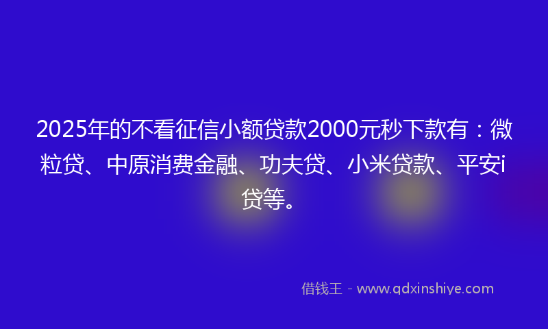 2025年的不看征信小额贷款2000元秒下款有：微粒贷、中原消费金融、功夫贷、小米贷款、平安i贷等。
