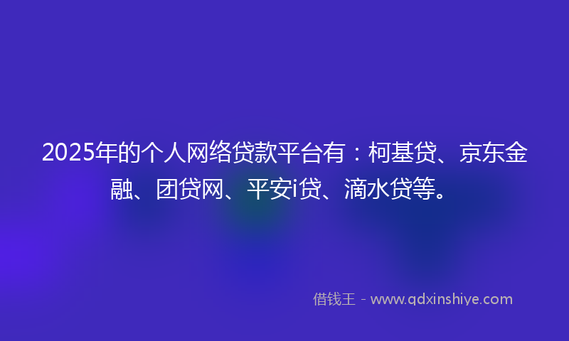 2025年的个人网络贷款平台有：柯基贷、京东金融、团贷网、平安i贷、滴水贷等。