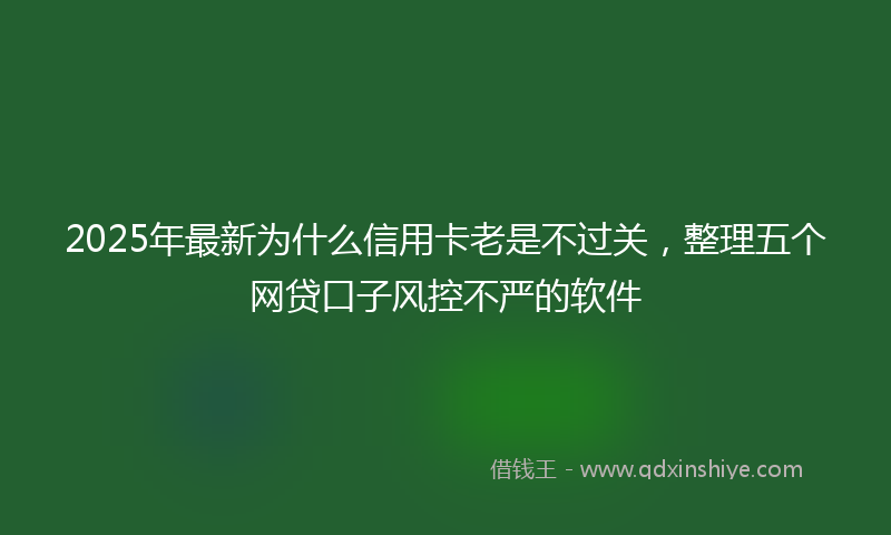 2025年最新为什么信用卡老是不过关，整理五个网贷口子风控不严的软件