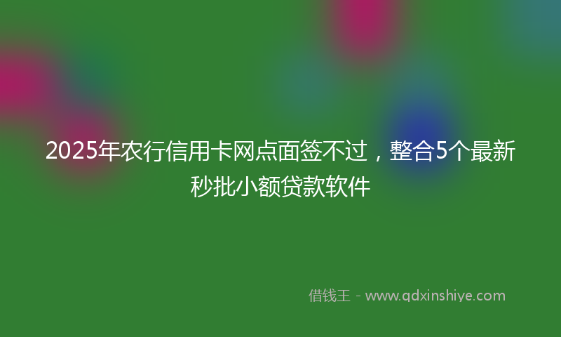 2025年农行信用卡网点面签不过，整合5个最新秒批小额贷款软件