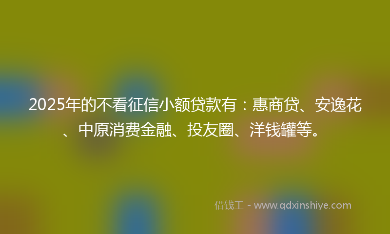 2025年的不看征信小额贷款有：惠商贷、安逸花、中原消费金融、投友圈、洋钱罐等。
