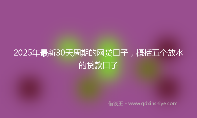 2025年最新30天周期的网贷口子，概括五个放水的贷款口子