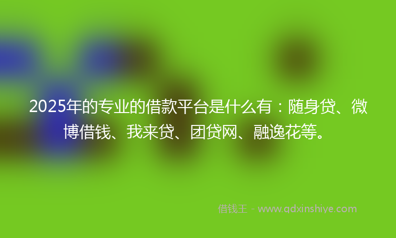 2025年的专业的借款平台是什么有：随身贷、微博借钱、我来贷、团贷网、融逸花等。