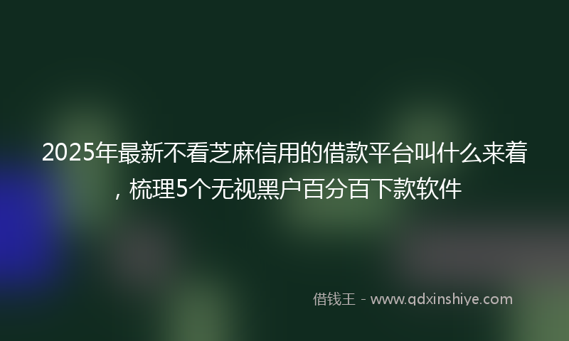2025年最新不看芝麻信用的借款平台叫什么来着，梳理5个无视黑户百分百下款软件