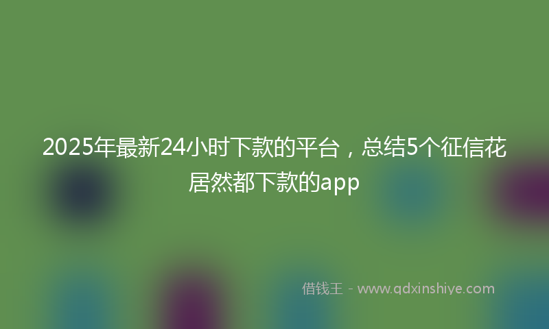 2025年最新24小时下款的平台，总结5个征信花居然都下款的app