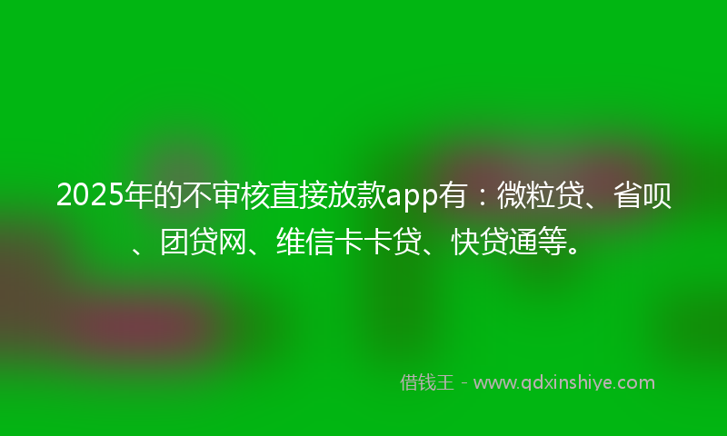 2025年的不审核直接放款app有：微粒贷、省呗、团贷网、维信卡卡贷、快贷通等。