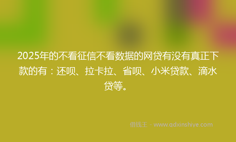 2025年的不看征信不看数据的网贷有没有真正下款的有：还呗、拉卡拉、省呗、小米贷款、滴水贷等。