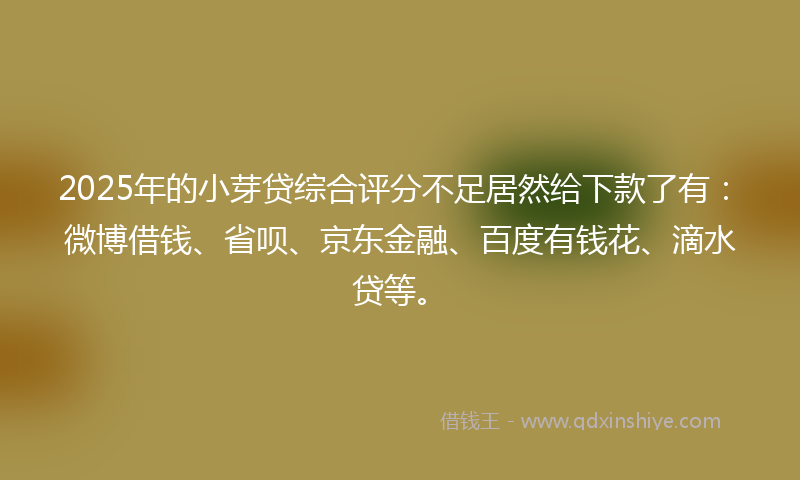 2025年的小芽贷综合评分不足居然给下款了有：微博借钱、省呗、京东金融、百度有钱花、滴水贷等。
