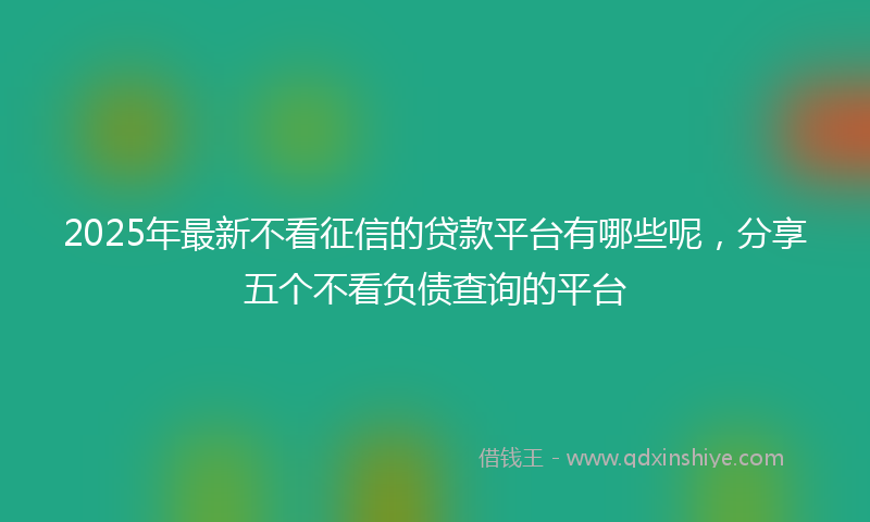 2025年最新不看征信的贷款平台有哪些呢，分享五个不看负债查询的平台