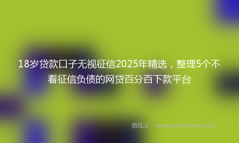 18岁贷款口子无视征信2025年精选，整理5个不看征信负债的网贷百分百下款平台