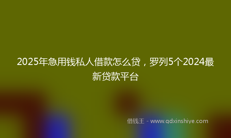 2025年急用钱私人借款怎么贷，罗列5个2024最新贷款平台