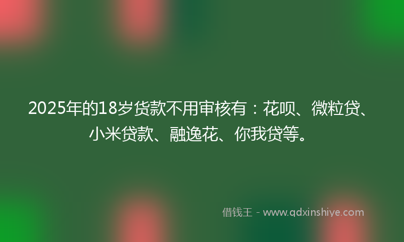 2025年的18岁货款不用审核有：花呗、微粒贷、小米贷款、融逸花、你我贷等。