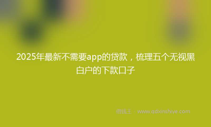 2025年最新不需要app的贷款，梳理五个无视黑白户的下款口子