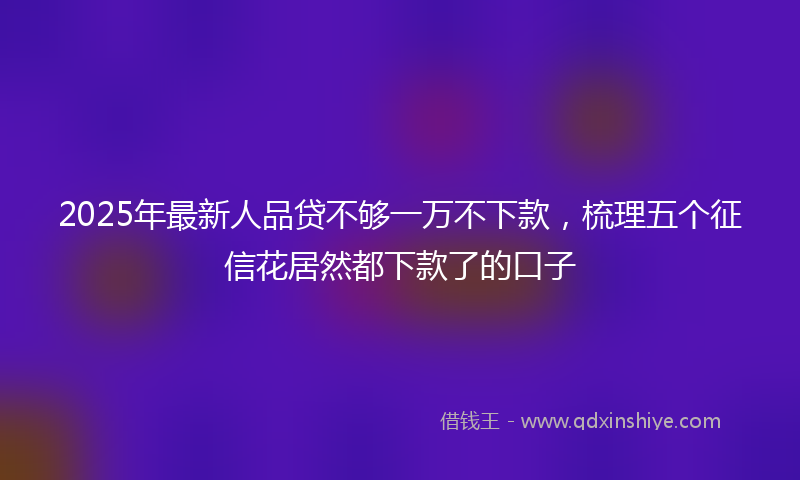 2025年最新人品贷不够一万不下款，梳理五个征信花居然都下款了的口子