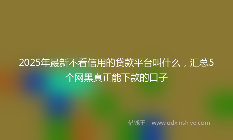 2025年最新不看信用的贷款平台叫什么，汇总5个网黑真正能下款的口子