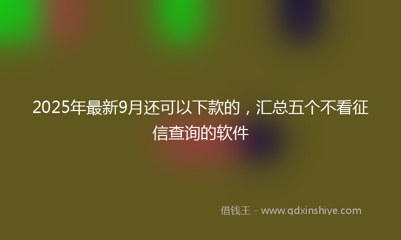 2025年最新9月还可以下款的，汇总五个不看征信查询的软件