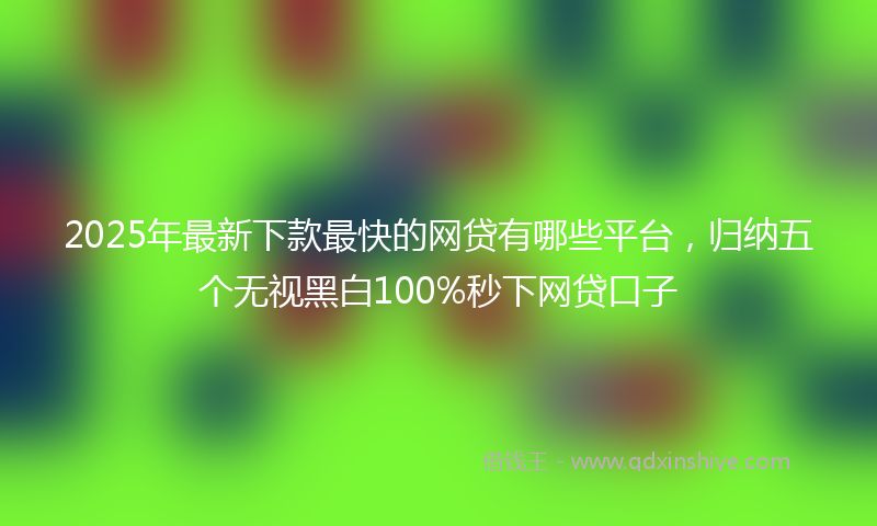 2025年最新下款最快的网贷有哪些平台，归纳五个无视黑白100%秒下网贷口子