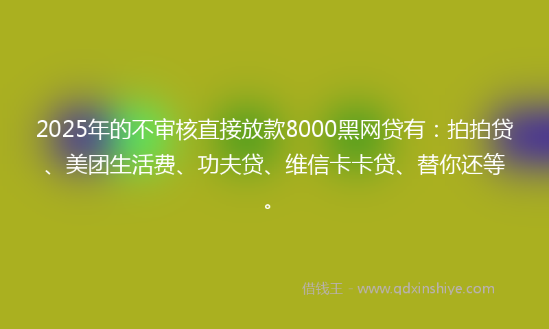 2025年的不审核直接放款8000黑网贷有：拍拍贷、美团生活费、功夫贷、维信卡卡贷、替你还等。