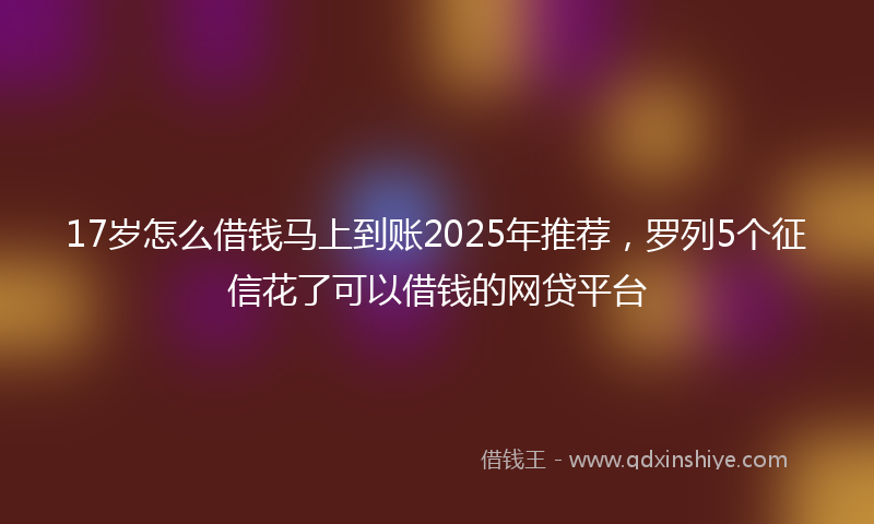 17岁怎么借钱马上到账2025年推荐，罗列5个征信花了可以借钱的网贷平台