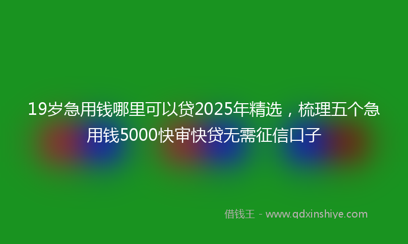 19岁急用钱哪里可以贷2025年精选，梳理五个急用钱5000快审快贷无需征信口子