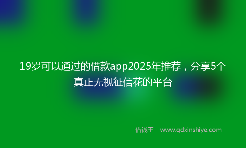 19岁可以通过的借款app2025年推荐，分享5个真正无视征信花的平台