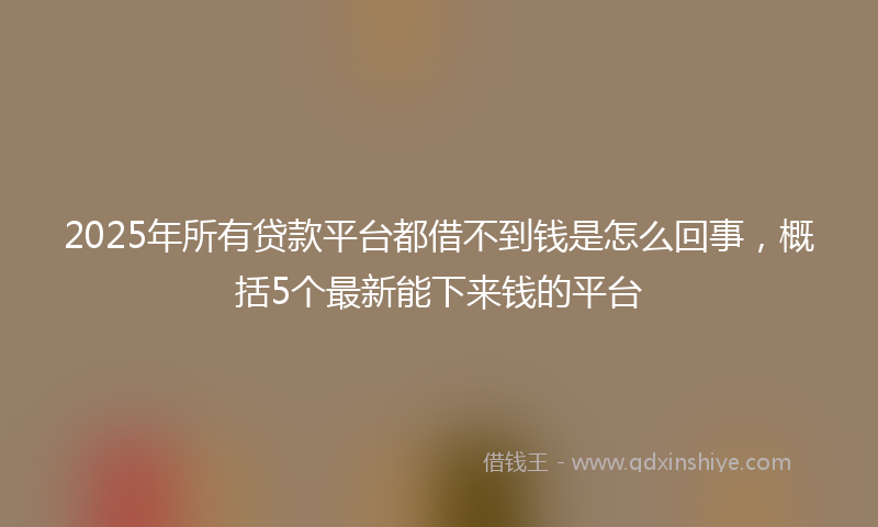 2025年所有贷款平台都借不到钱是怎么回事，概括5个最新能下来钱的平台