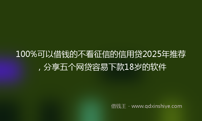 100%可以借钱的不看征信的信用贷2025年推荐，分享五个网贷容易下款18岁的软件