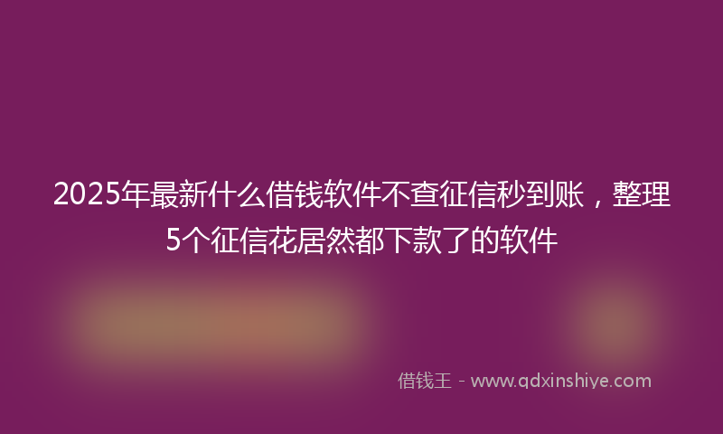 2025年最新什么借钱软件不查征信秒到账，整理5个征信花居然都下款了的软件
