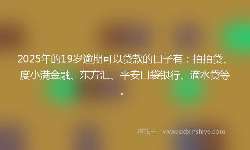 2025年的19岁逾期可以贷款的口子有：拍拍贷、度小满金融、东方汇、平安口袋银行、滴水贷等。