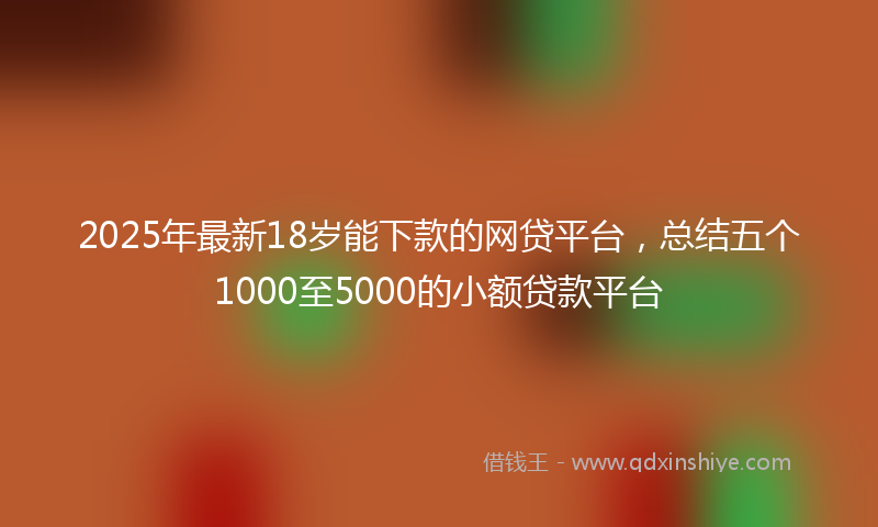 2025年最新18岁能下款的网贷平台，总结五个1000至5000的小额贷款平台