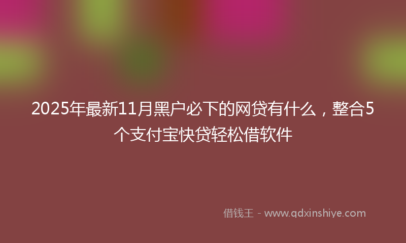 2025年最新11月黑户必下的网贷有什么，整合5个支付宝快贷轻松借软件