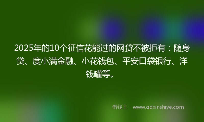 2025年的10个征信花能过的网贷不被拒有：随身贷、度小满金融、小花钱包、平安口袋银行、洋钱罐等。