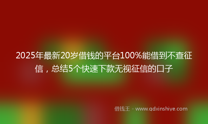 2025年最新20岁借钱的平台100%能借到不查征信，总结5个快速下款无视征信的口子