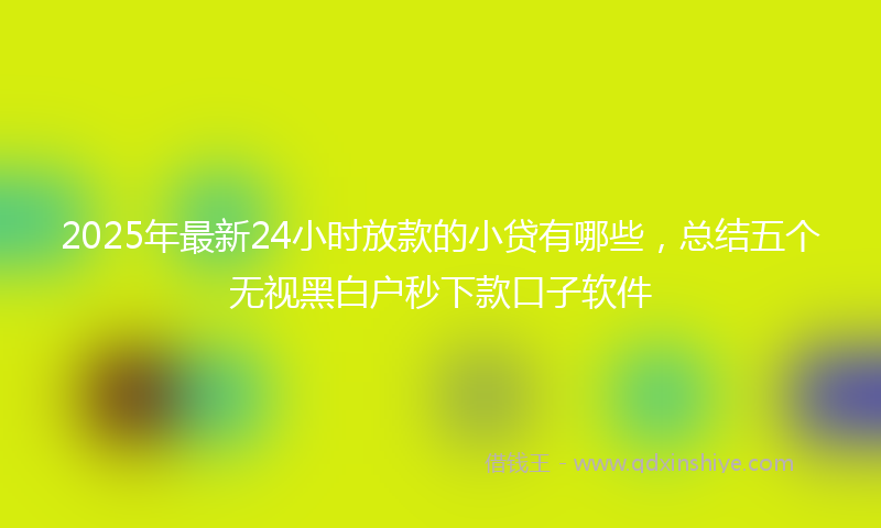 2025年最新24小时放款的小贷有哪些，总结五个无视黑白户秒下款口子软件