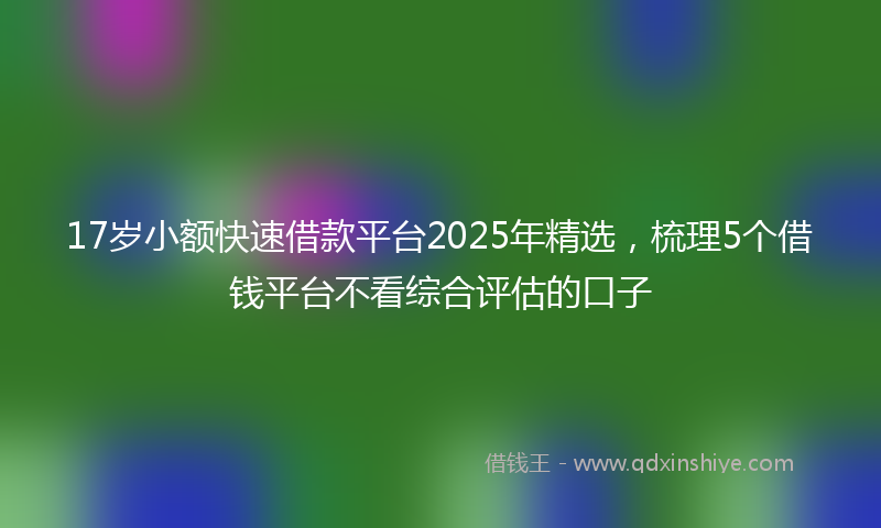 17岁小额快速借款平台2025年精选，梳理5个借钱平台不看综合评估的口子