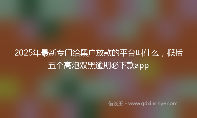 2025年最新专门给黑户放款的平台叫什么，概括五个高炮双黑逾期必下款app