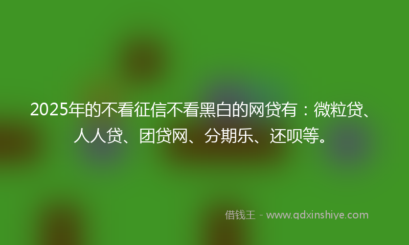 2025年的不看征信不看黑白的网贷有：微粒贷、人人贷、团贷网、分期乐、还呗等。