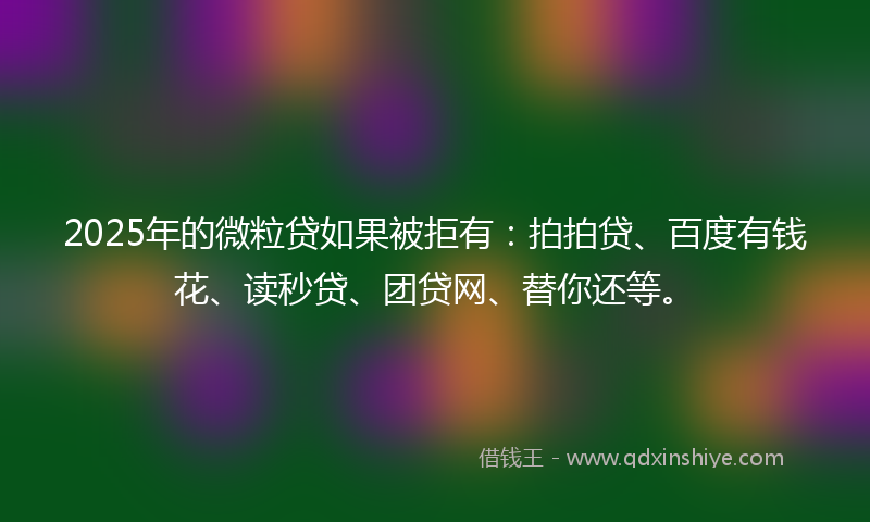 2025年的微粒贷如果被拒有：拍拍贷、百度有钱花、读秒贷、团贷网、替你还等。