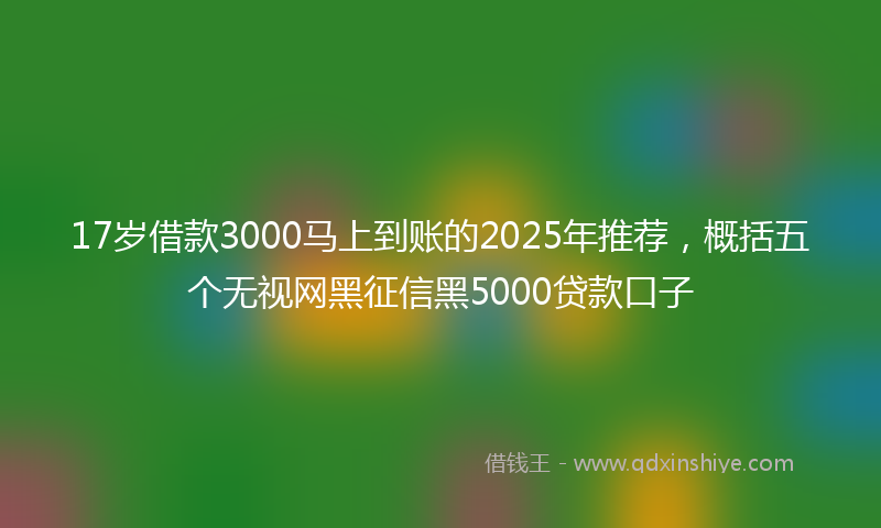 17岁借款3000马上到账的2025年推荐，概括五个无视网黑征信黑5000贷款口子