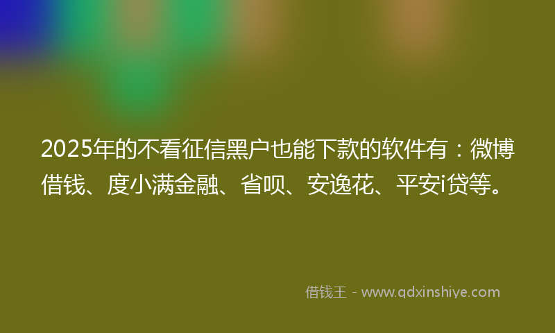 2025年的不看征信黑户也能下款的软件有：微博借钱、度小满金融、省呗、安逸花、平安i贷等。