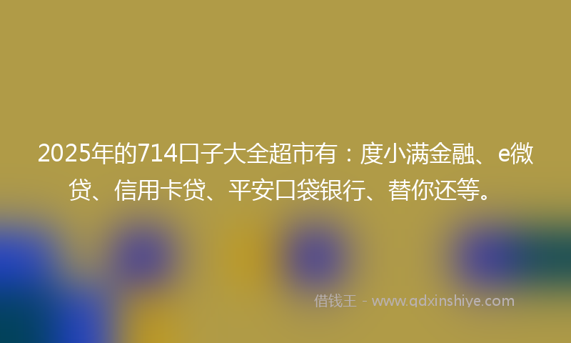 2025年的714口子大全超市有：度小满金融、e微贷、信用卡贷、平安口袋银行、替你还等。
