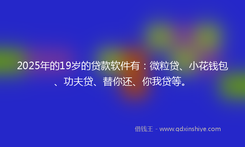 2025年的19岁的贷款软件有：微粒贷、小花钱包、功夫贷、替你还、你我贷等。