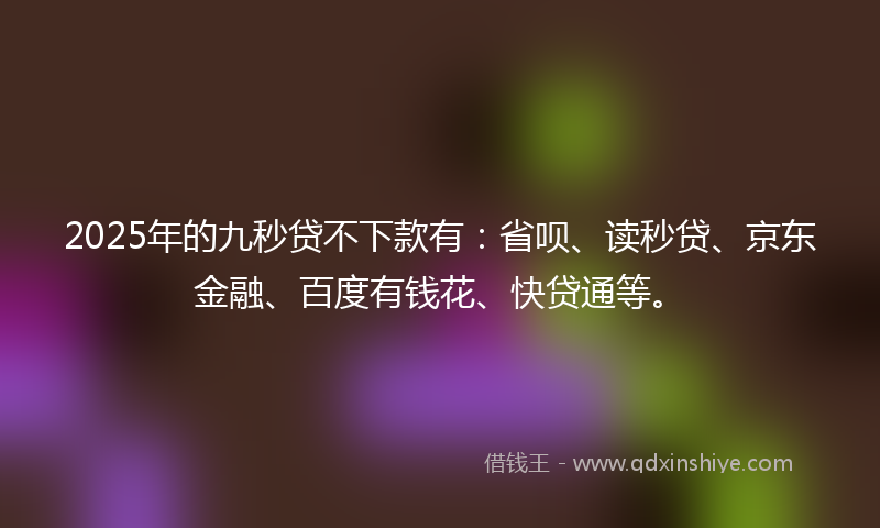 2025年的九秒贷不下款有：省呗、读秒贷、京东金融、百度有钱花、快贷通等。