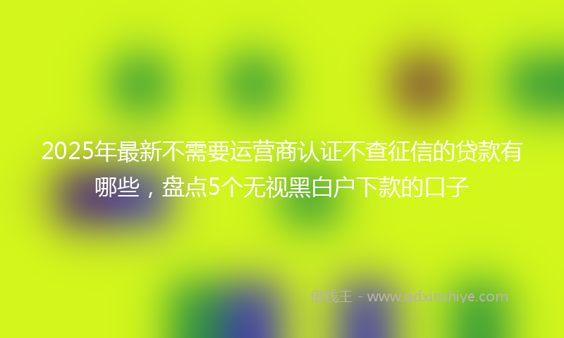 2025年最新不需要运营商认证不查征信的贷款有哪些，盘点5个无视黑白户下款的口子