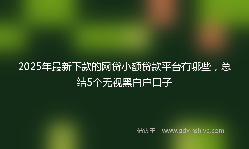 2025年最新下款的网贷小额贷款平台有哪些，总结5个无视黑白户口子